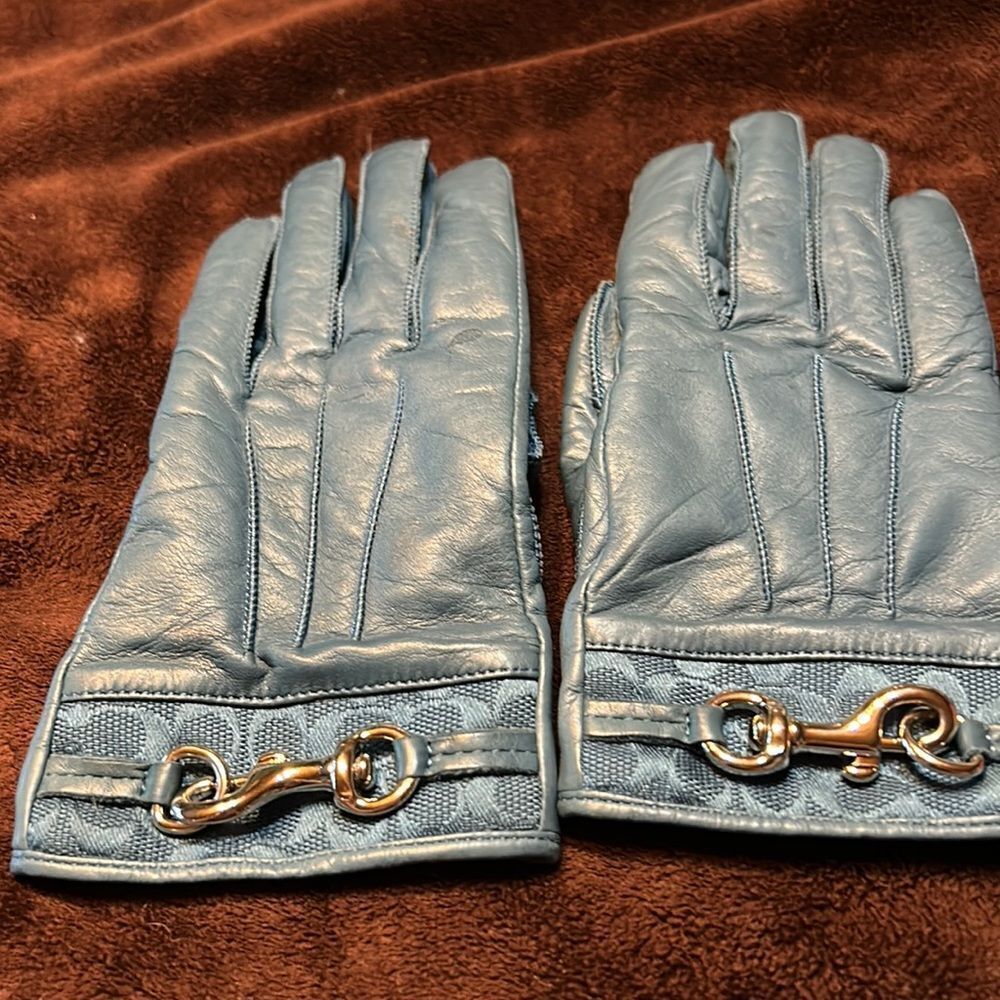 Coach Buckle Gloves 6.5 Leather\Cashmere